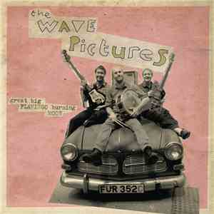 The Wave Pictures - Great Big Flamingo Burning Moon