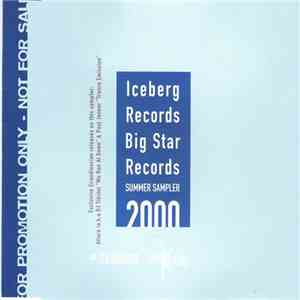 Various - Iceberg Records & Big Star Records Summer Sampler 2000