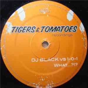DJ Black  vs. 1-0-1 - What...?!?