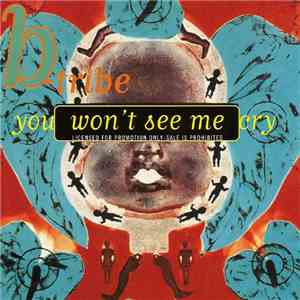 B-Tribe - You Won't See Me Cry (Theme From Vangelis 