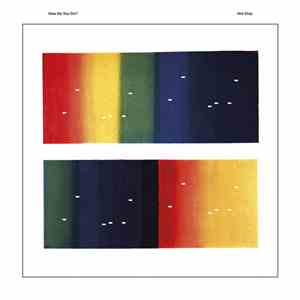 Hot Chip - How Do You Do?