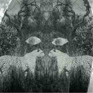 Rakka  - Soutu