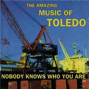 Various - The Amazing Music Of Toledo: Nobody Knows Who You Are