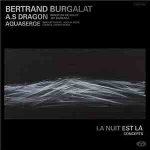 Bertrand Burgalat - La Nuit Est Là