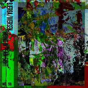 Bjerga / Iversen - Hiding In Plain Sight