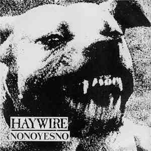 Haywire  / NoNoYesNo - Split