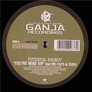 Potential Bad Boy - You're Mine VIP
