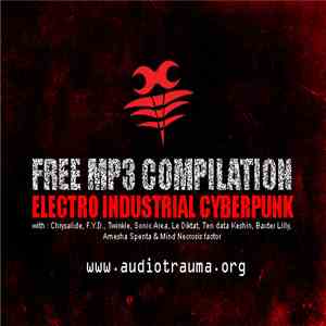 Various - Audiotrauma Compilation