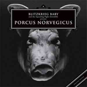 Blitzkrieg Baby And The Squealing Piglet Ensemble - Porcus Norvegicus