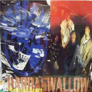 Radical Stuff - Hardaswallow