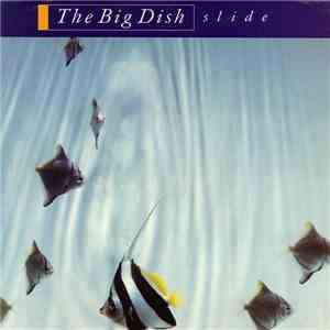 The Big Dish - Slide