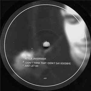 Attila Jahanvash - I Don't Think That I Didn't Say Goodbye