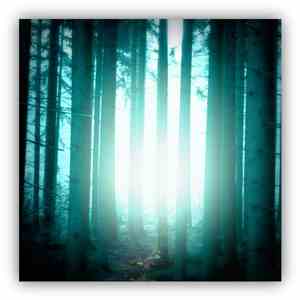 Motionfield - Quiet Is the New Loud