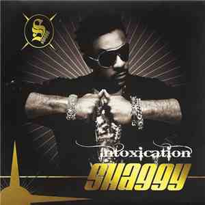 Shaggy - Intoxication