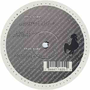 Various - Sounds Of The Big Stink Disc Seven
