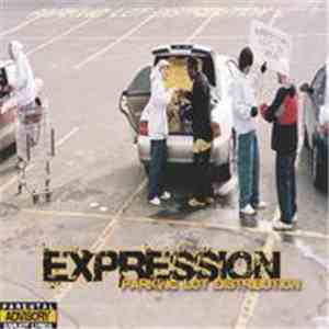 Expression  - Parking Lot Distribution