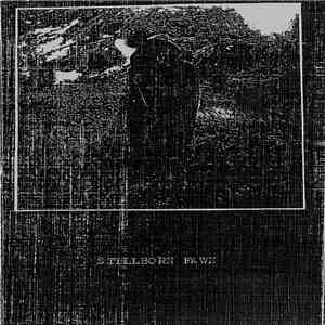 Stillborn Fawn - Abature