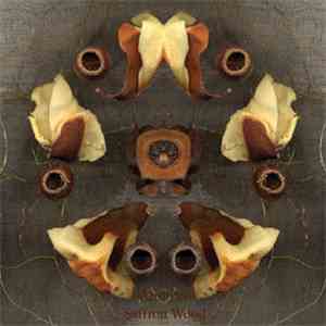 Alio Die ≈ Saffron Wood - Corteggiando Le Messi