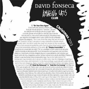 David Fonseca - Christmas 2013