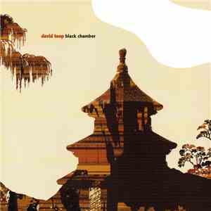 David Toop - Black Chamber