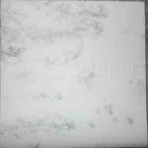 Evergreen  - Evergreen