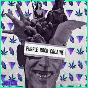 Schote - Purple Rock Cocaine