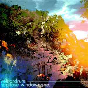 Vektordrum - Capitose Windowpane