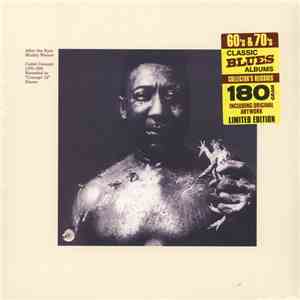 Muddy Waters - After The Rain