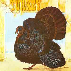Wild Turkey - Turkey