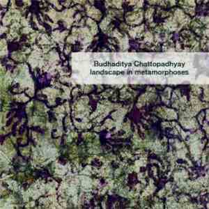 Budhaditya Chattopadhyay - Landscape In Metamorphoses