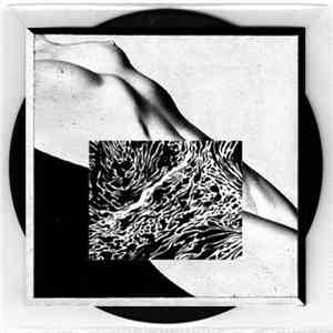 Kyle Eyre Clyde - Spite