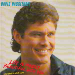 David Hasselhoff - Life Is Mostly Beautiful With You