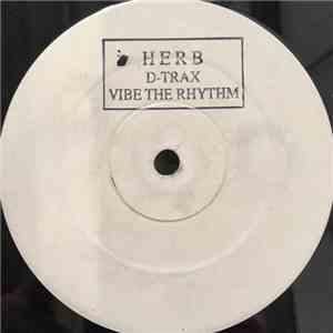 D-Trax  - Vibe The Rhythm