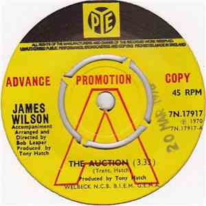 James Wilson  - The Auction