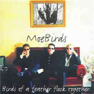 MoeBirds - Birds Of A Feather Flock Together