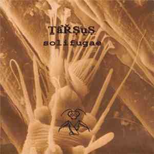 Tarsus - Solifugae