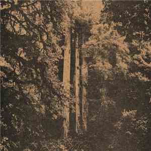 The Tunnel - Carver Brothers Lullaby