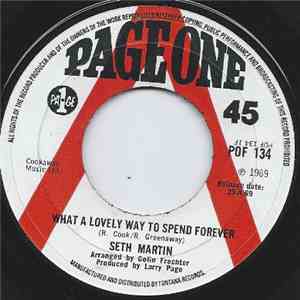Seth Martin - What A Lovely Way To Spend Forever
