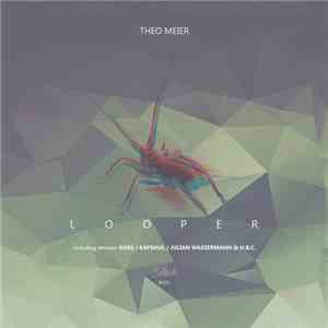 Theo Meier - Looper