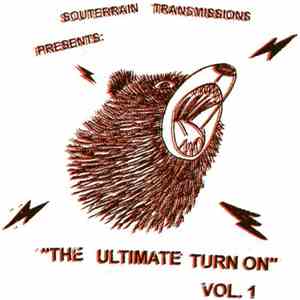 Various - The Ultimate Turn On Vol. 1