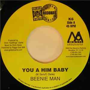 Beenie Man / Nicky B - You A Him Baby / Party With You