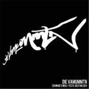 Die Vamummtn - Schwab's Weg