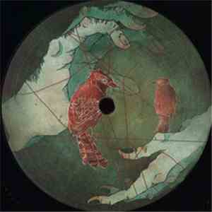 Dragosh - Paradox Action Vivid