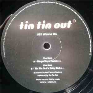 Tin Tin Out - All I Wanna Do