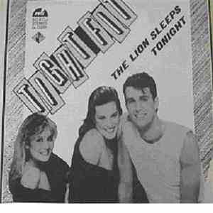 Tight Fit - The Lion Sleeps Tonight