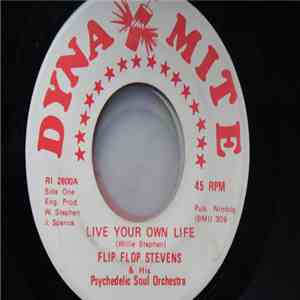 Flip Flop Stevens & His Psychedelic Soul Orchestra - Live Your Own Life / P ...