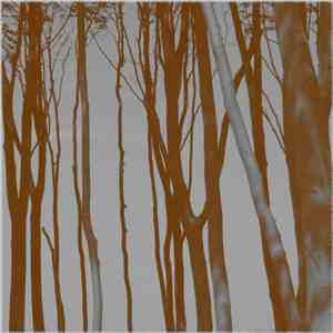 Jørgen Brønlund Quartet - fragments