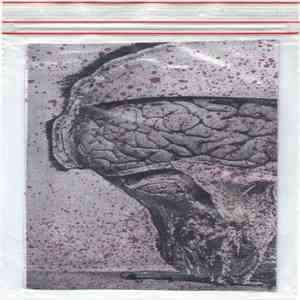 Slowlistener / Century Plants / Terrortank - My Mind Is Blind