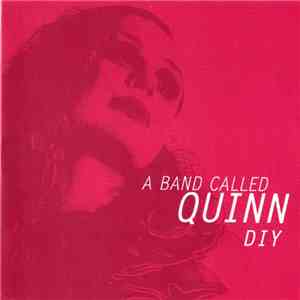 A Band Called Quinn - DIY
