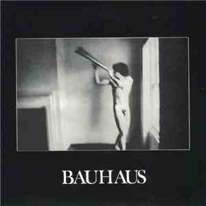 Bauhaus - In The Flat Field